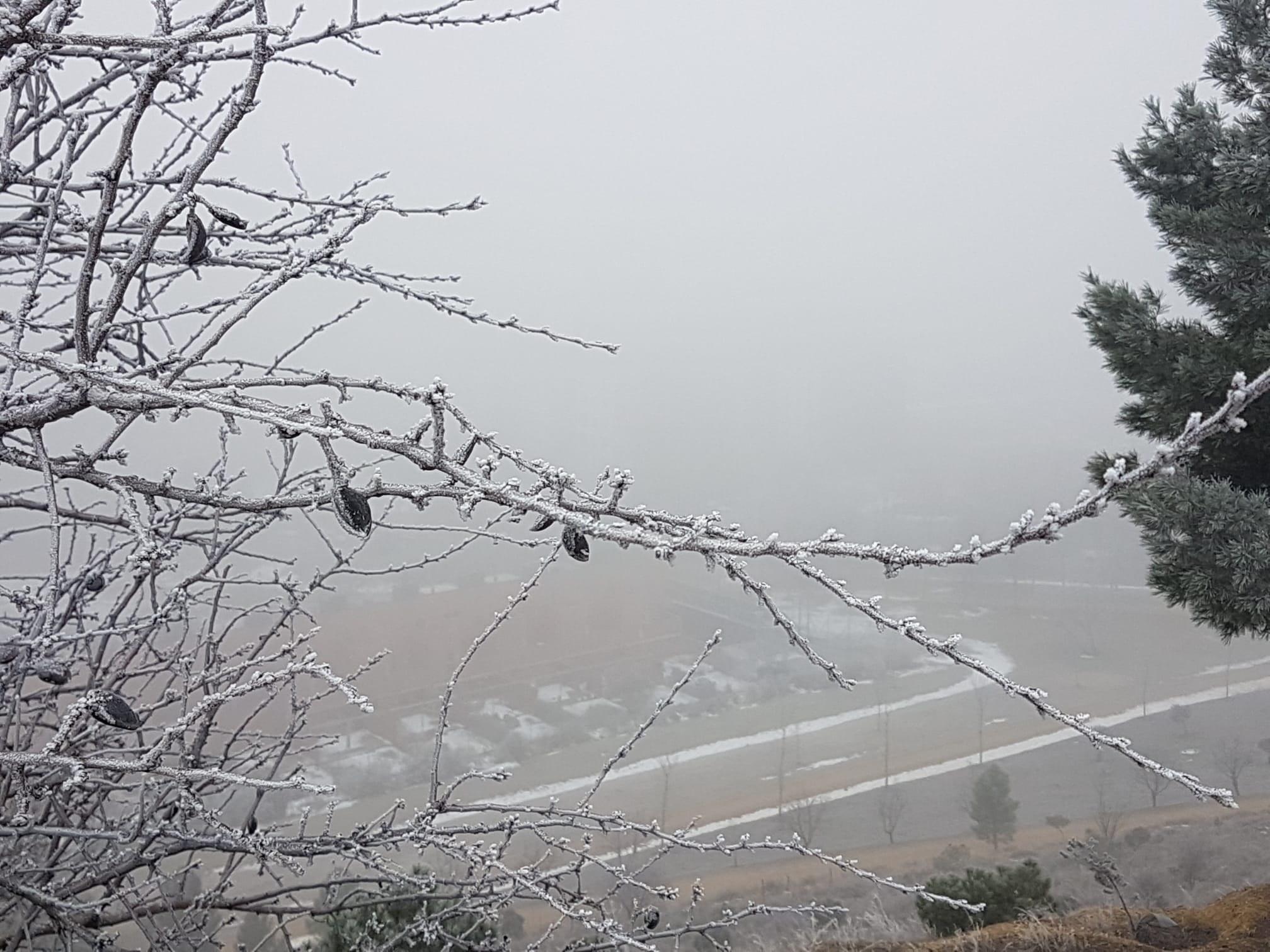 Fotos: Valladolid amanece cubierta de niebla