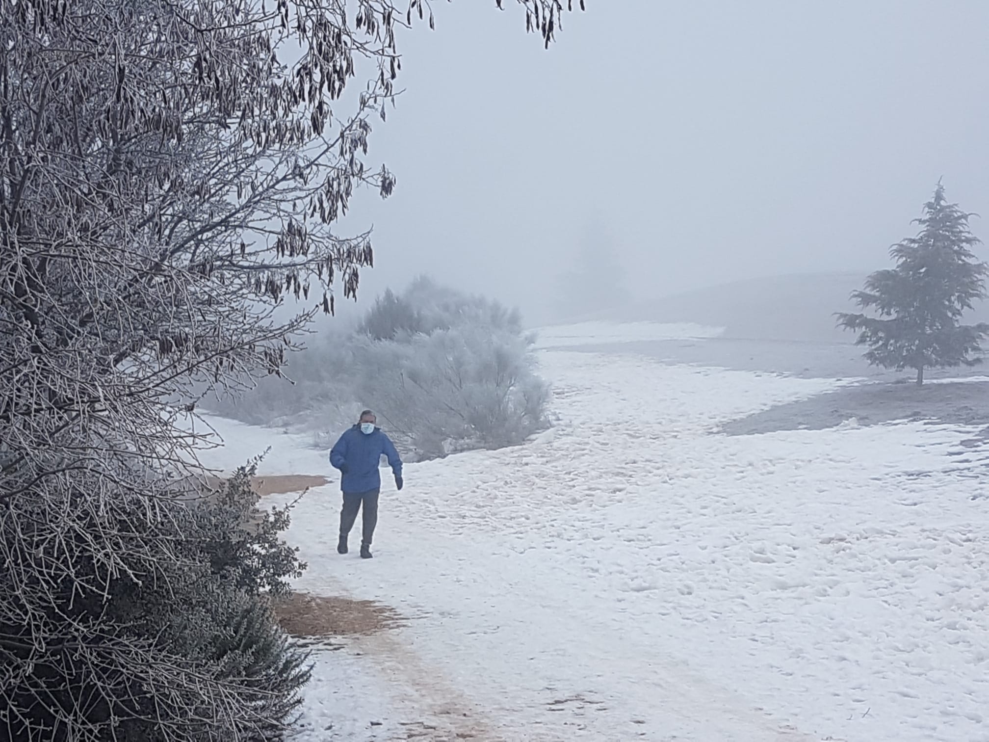 Fotos: Valladolid amanece cubierta de niebla