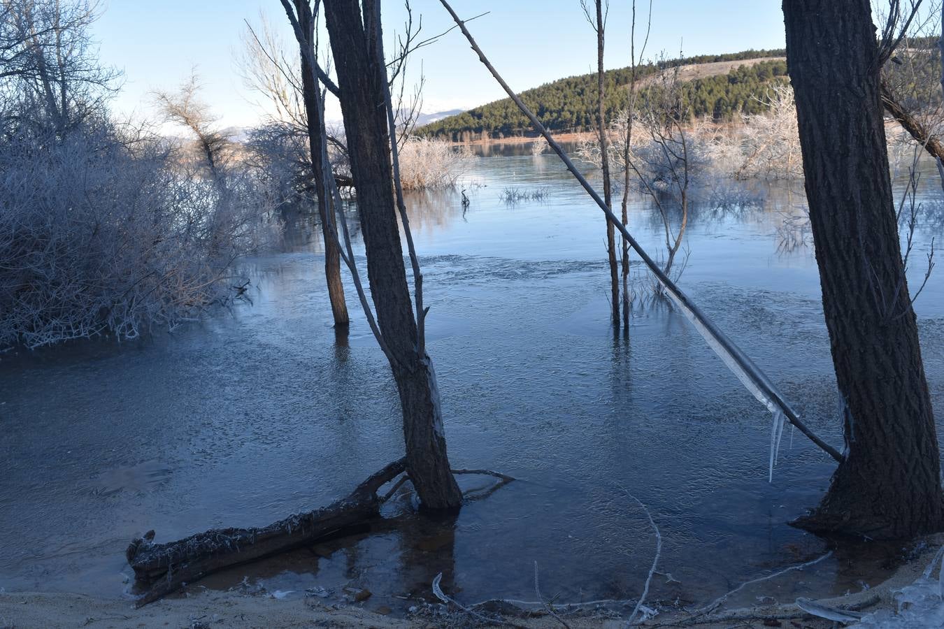 Fotos: El embalse de Aguilar de Campoo amanece congelado