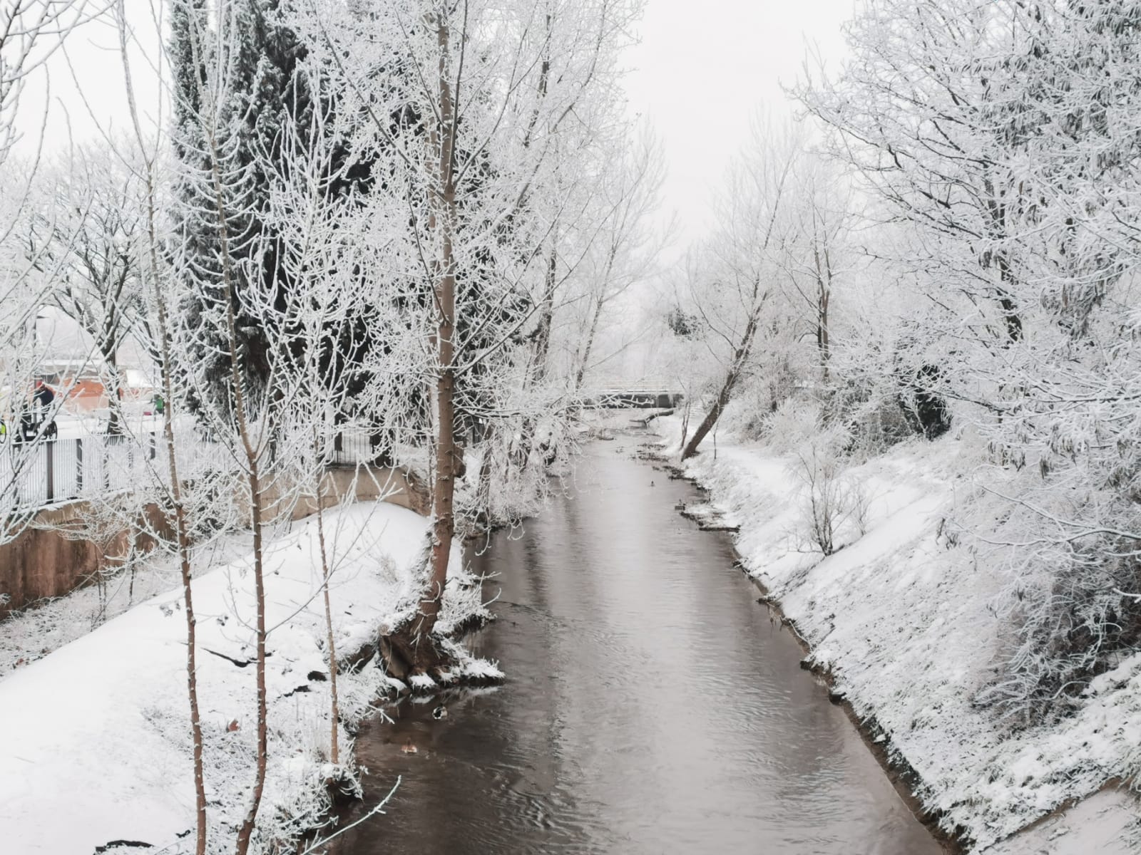 El Parque Ribera de Castilla de Valladolid amanece cubierto de nieve