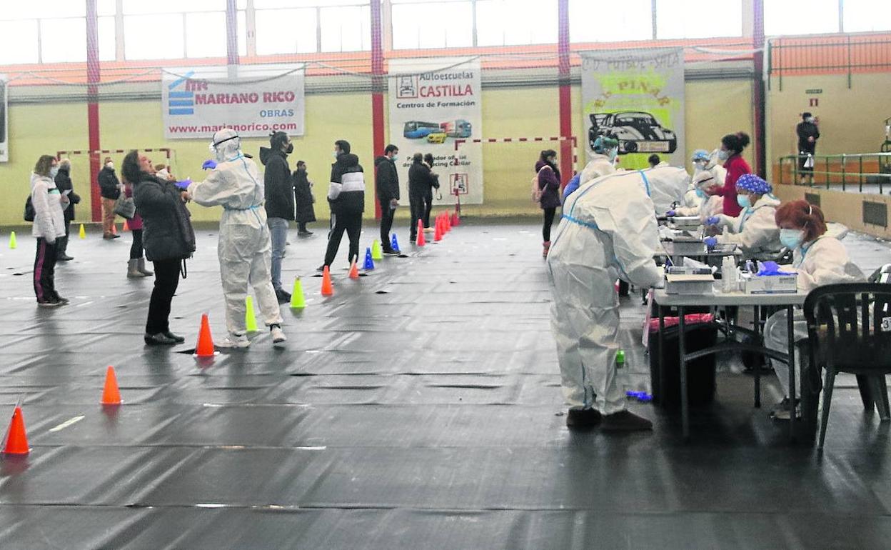 Personal sanitario realiza los test a los vecinos de Cuéllar, ayer, en el polideportivo de la villa. 