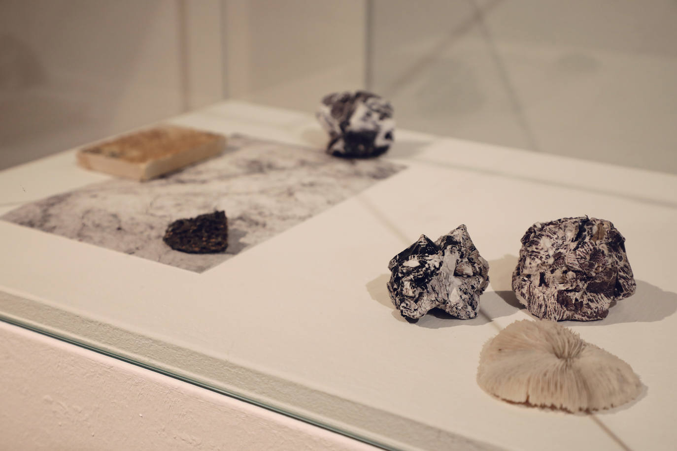 Fotos: Exposición de Lucía Morate en el Museo Patio Herreriano de Valladolid