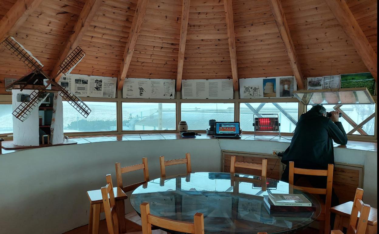 Observación de milanos reales desde el mirador del Molino de Viento de Aguilar de Campos.