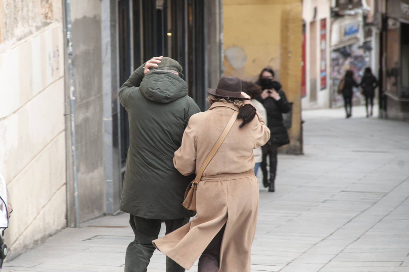 La borrasca Hortensia deja fuertes vientos en Segovia