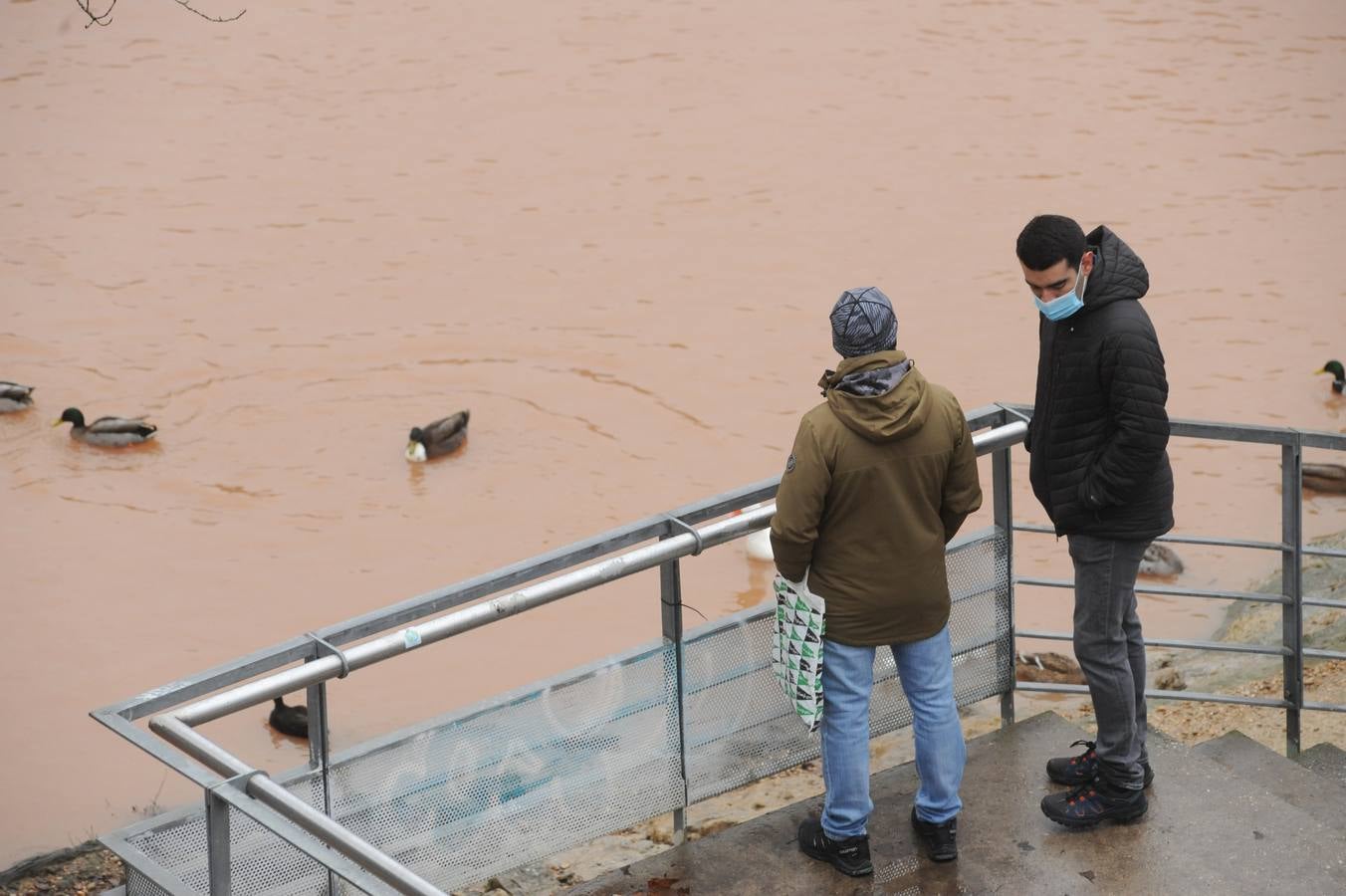 Fotos: Aumenta el caudal del Pisuerga a su paso por Valladolid