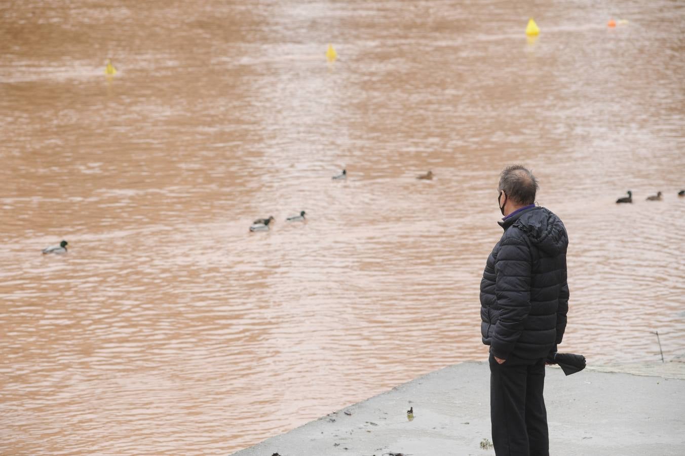 Fotos: Aumenta el caudal del Pisuerga a su paso por Valladolid