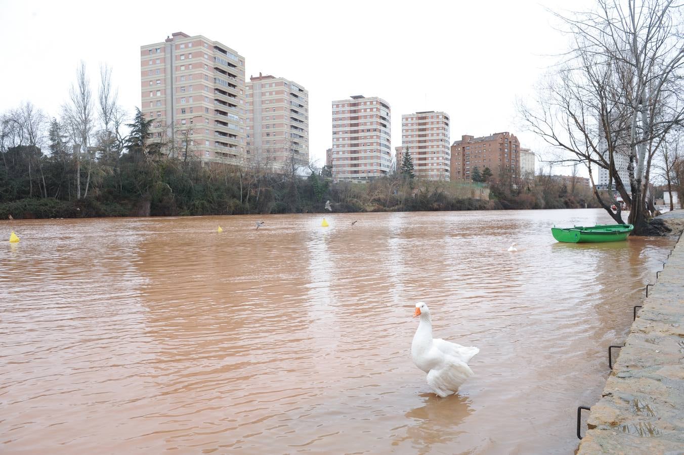 Fotos: Aumenta el caudal del Pisuerga a su paso por Valladolid