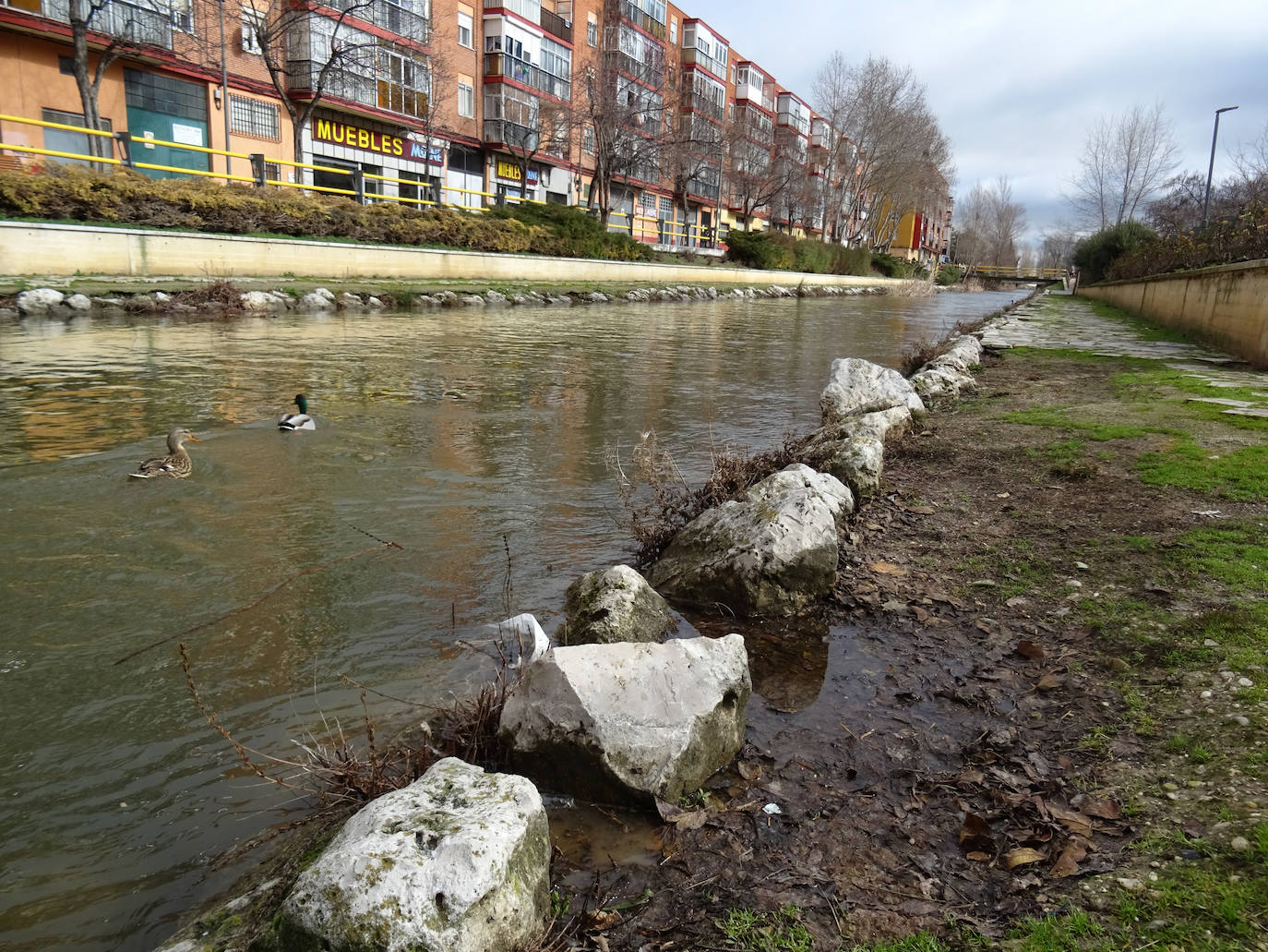 Fotos: Crecida del río Pisuerga en Valladolid y la provincia