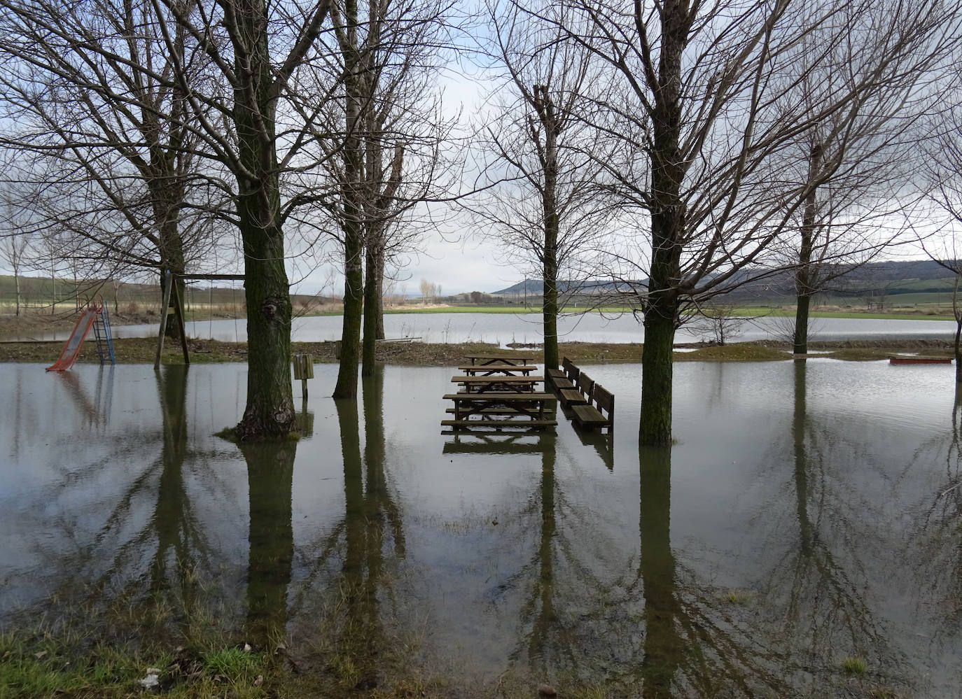 Fotos: Crecida del río Pisuerga en Valladolid y la provincia