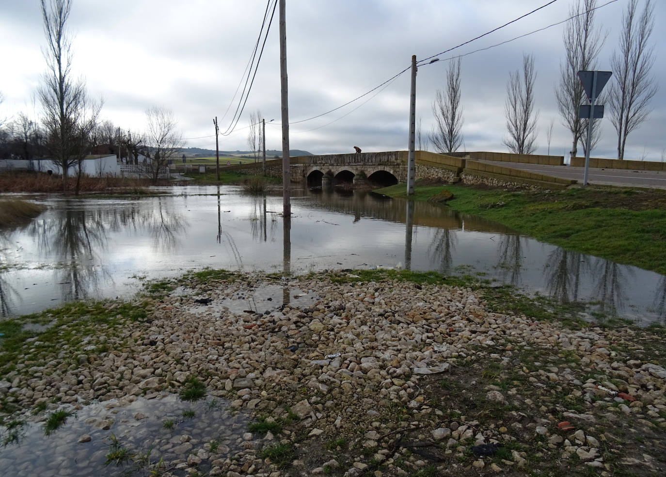 Fotos: Crecida del río Pisuerga en Valladolid y la provincia