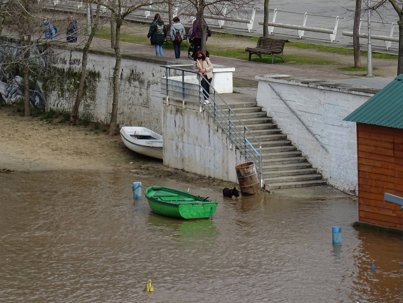 Fotos: Crecida del río Pisuerga en Valladolid y la provincia