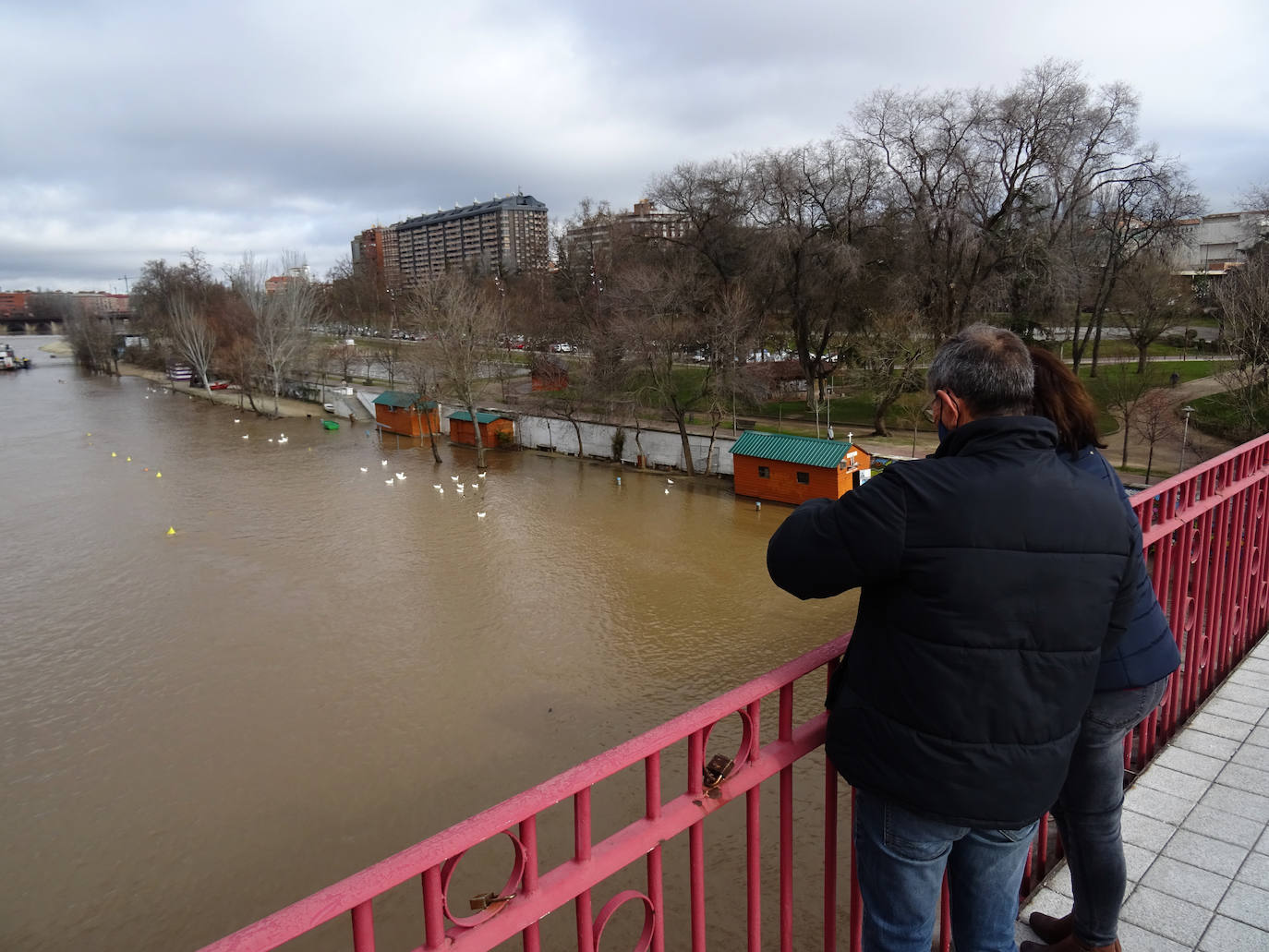 Fotos: Crecida del río Pisuerga en Valladolid y la provincia