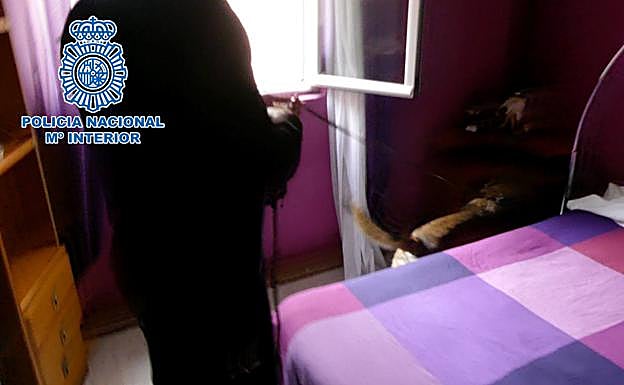 Unos de los pisos que fueron registrados por la Policía. 