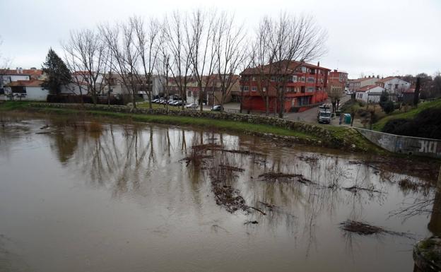 El río Cega a su paso por Viana.