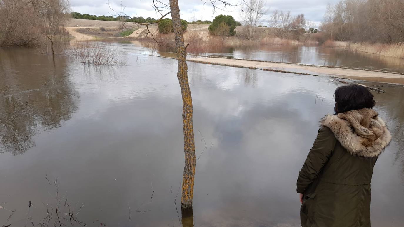 El Adaja, a su paso por Matapozuelos. 