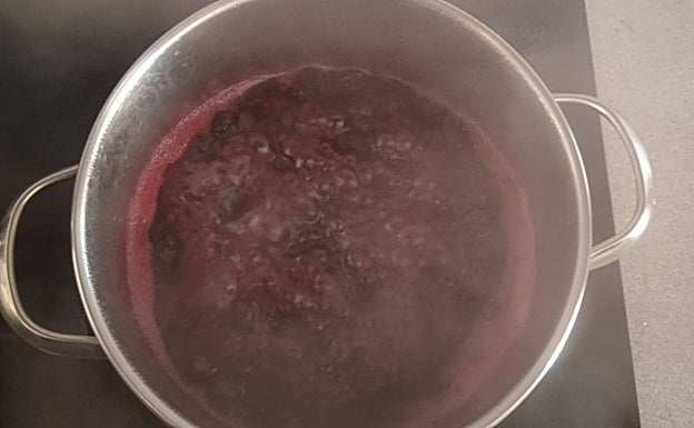 Imagen principal - Panna Cotta con coulis de arándanos