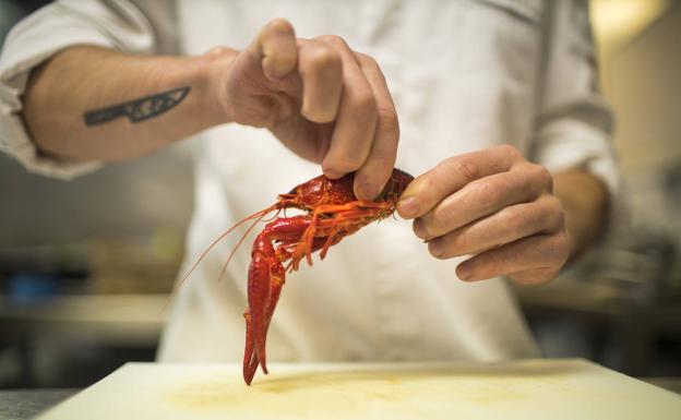 Samuel Naveira prepara cangrejo de río en la cocina del restaurante Muna de Ponferrada. 