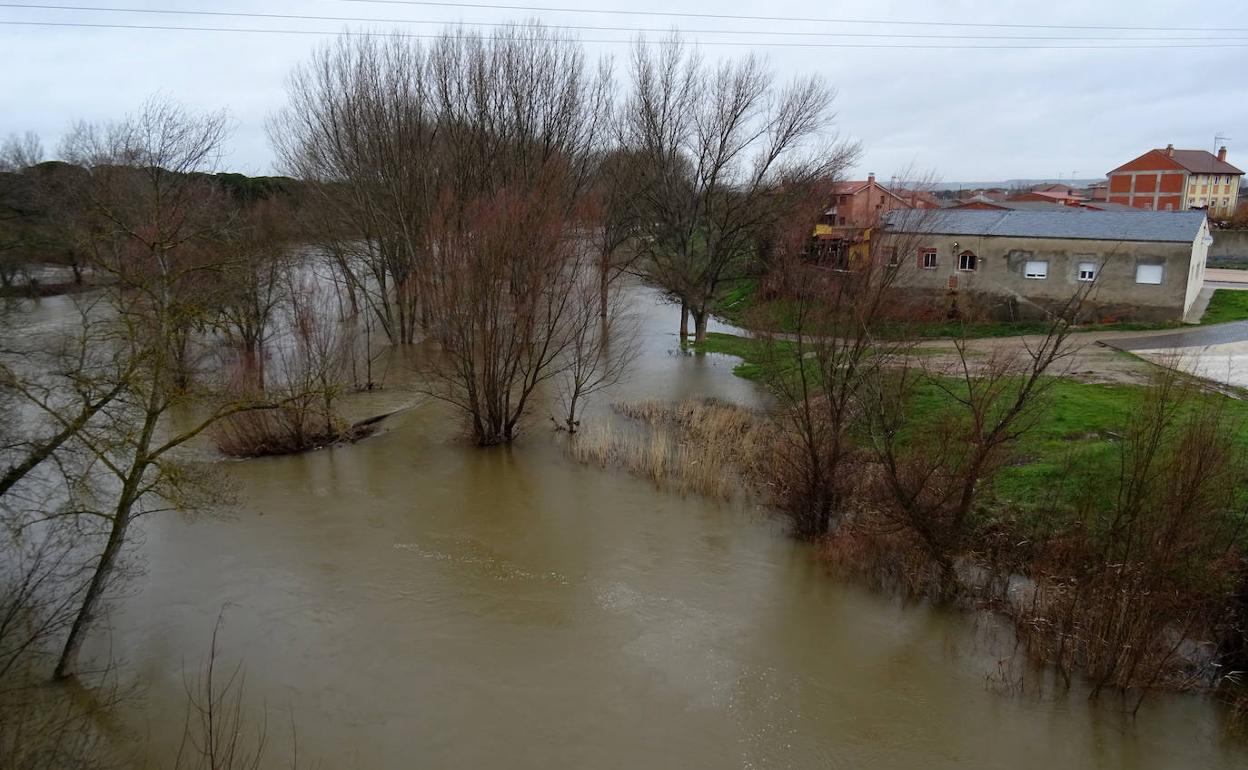 El Duero mantiene anegada su ribera en Puente Duero.