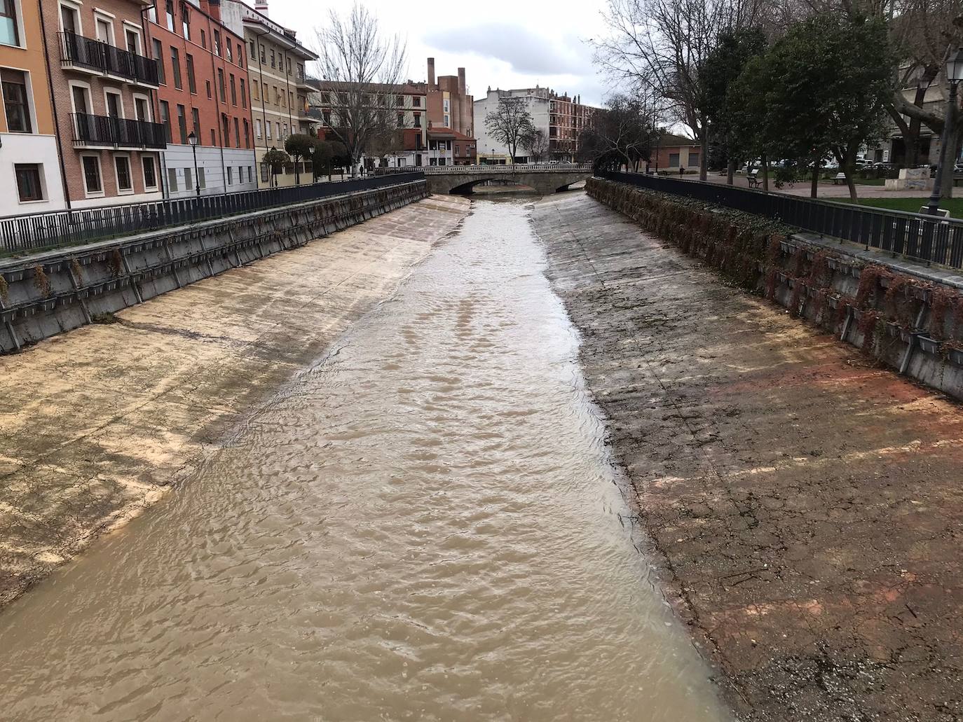 El río Zapardiel con agua a su paso por Medina del Campo.