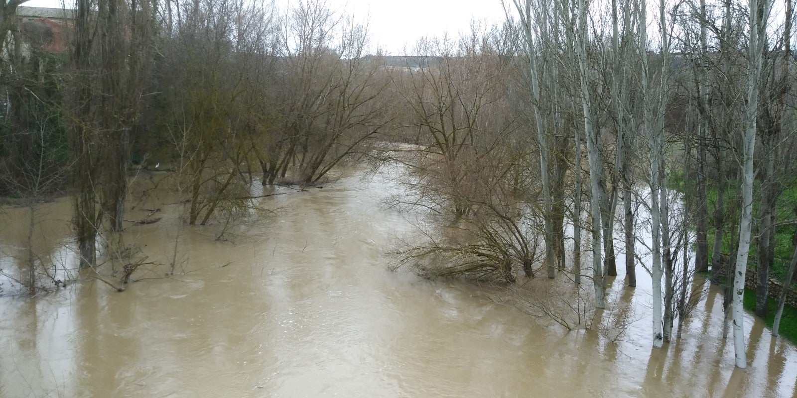 El río Cega a su paso por Megeces.