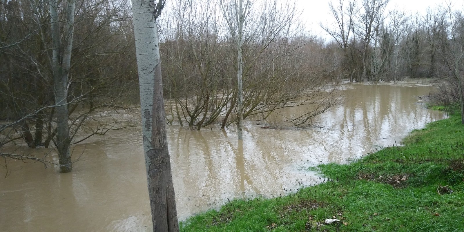 El río Cega a su paso por Megeces.