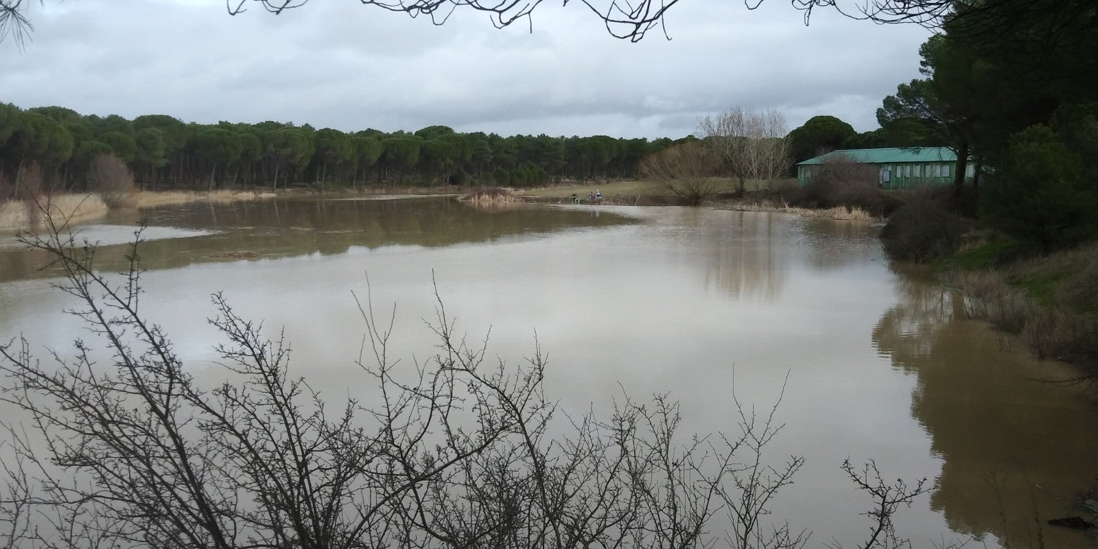 El río Pirón a su paso por el término de Íscar unos metros antes de entregar sus aguas al río Cega