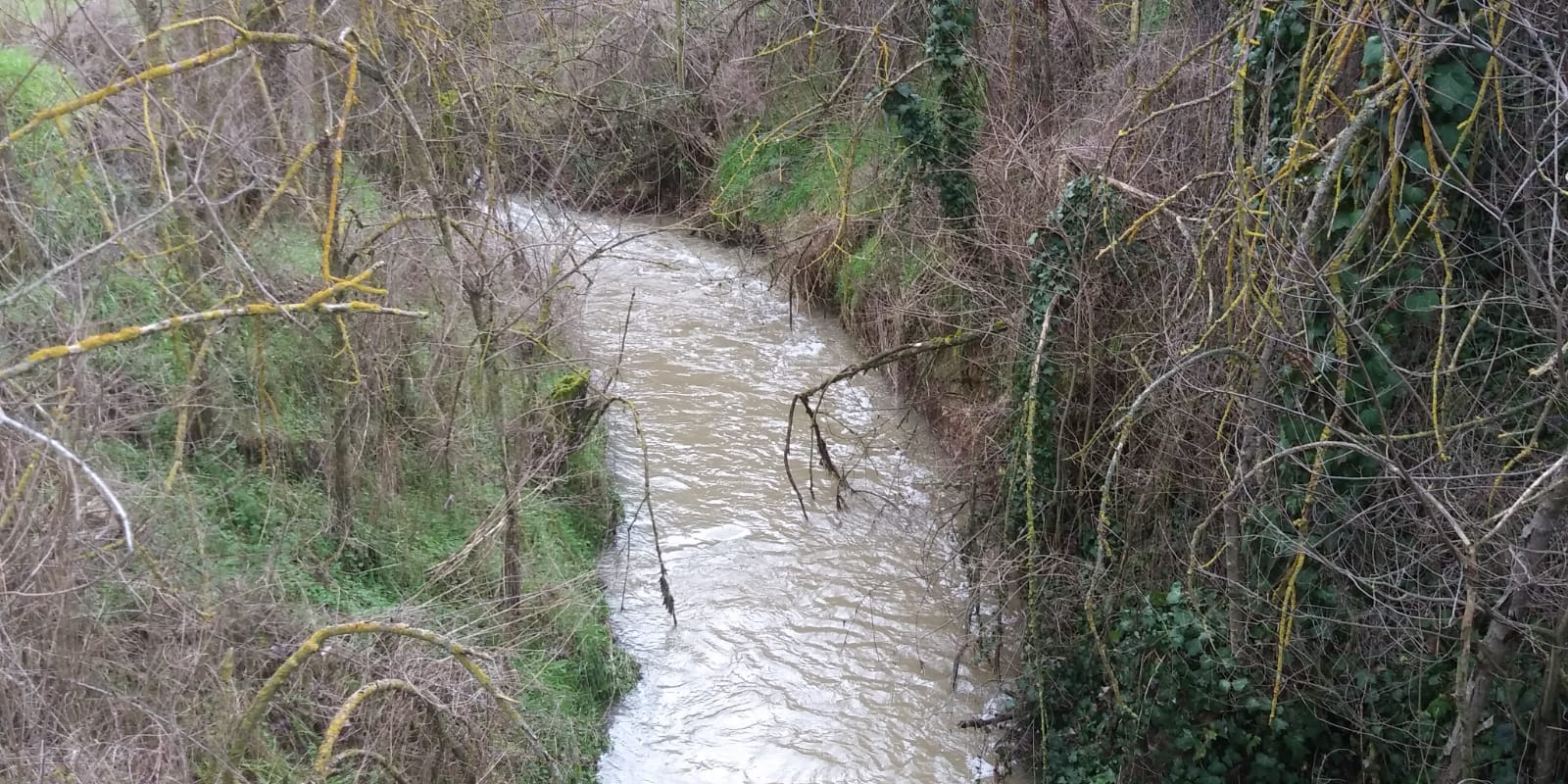 Arroyo Sangujero qué vierte sus aguas al río Eresma a su paso por el casco urbano de Hornillos de Eresma.