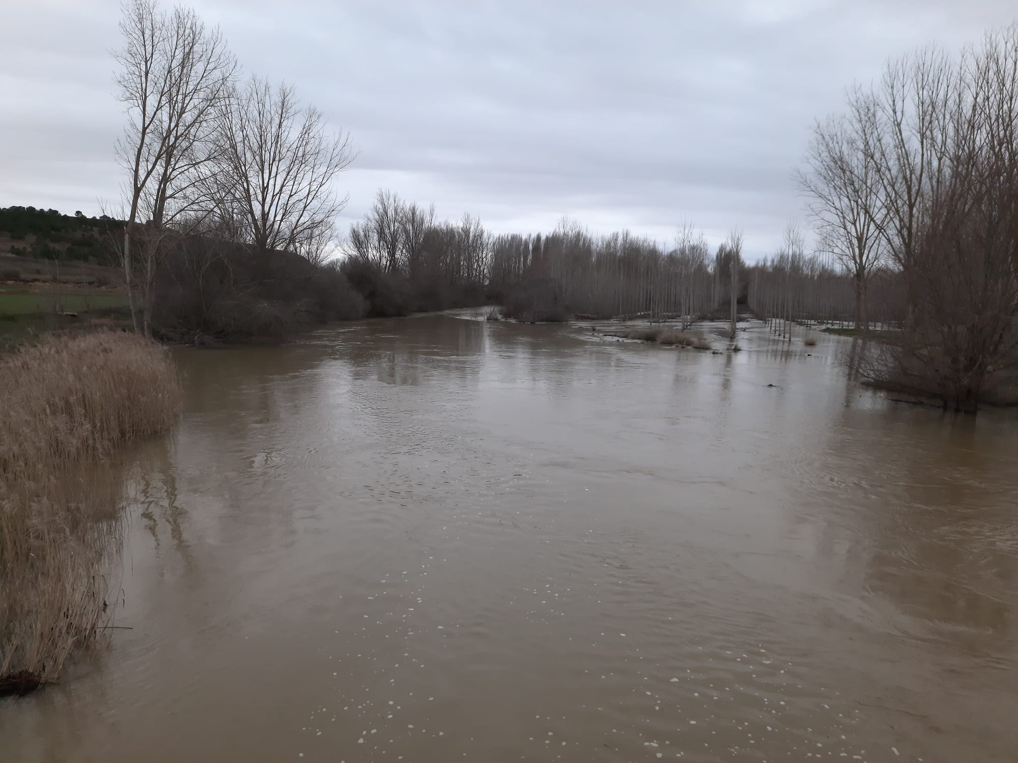 El Cea a su paso por Melgar de Arriba se inundado plantíos.