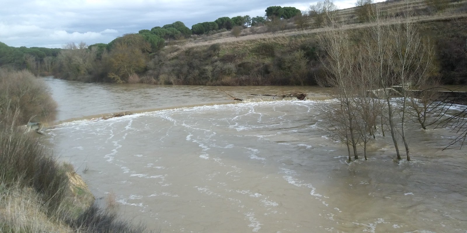 Río Eresma a su paso por el azud del molino nuevo de Valviadero entre Olmedo y Alcazarén.