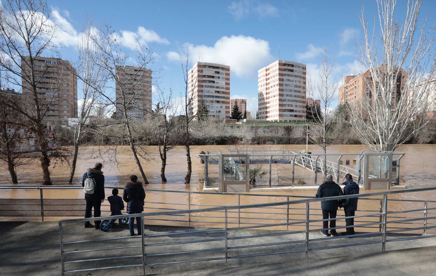 Fotos: Crecida del río Pisuerga a su paso por Valladolid