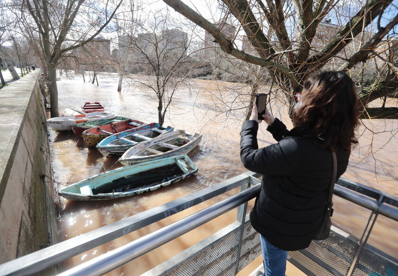 Fotos: Crecida del río Pisuerga a su paso por Valladolid