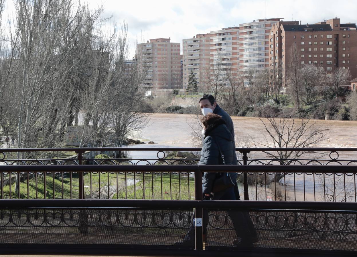 Fotos: Crecida del río Pisuerga a su paso por Valladolid