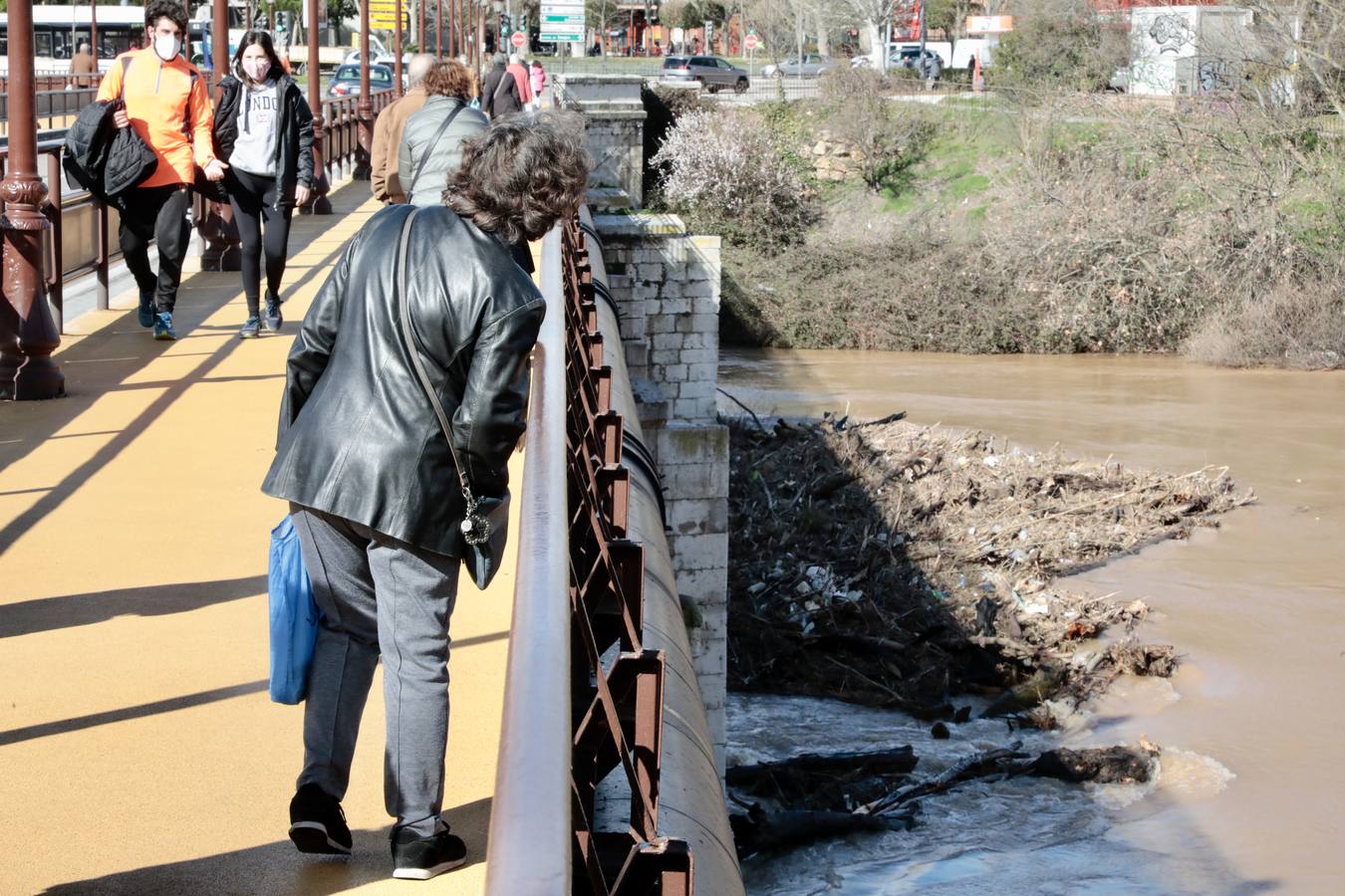 Fotos: Crecida del río Pisuerga a su paso por Valladolid
