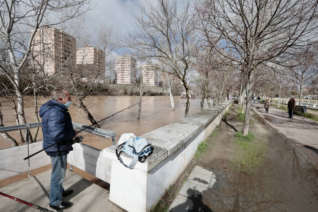 Fotos: Crecida del río Pisuerga a su paso por Valladolid