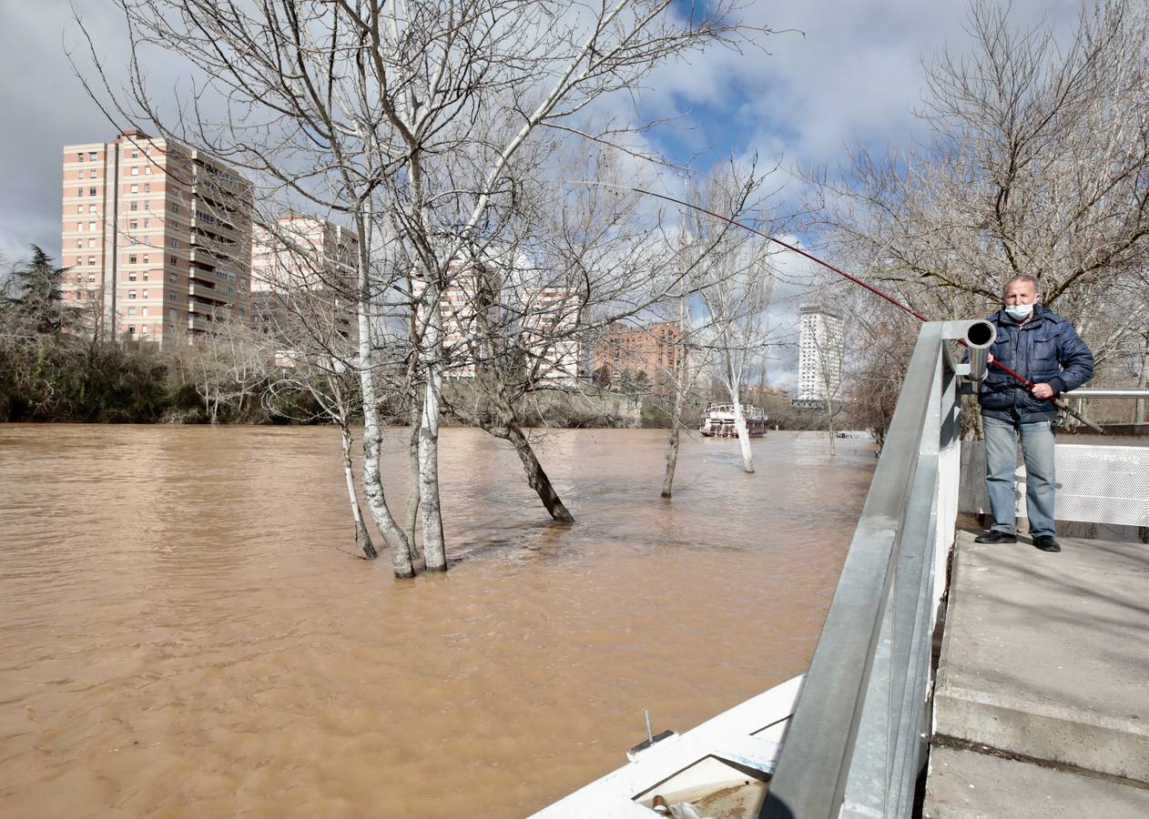 Fotos: Crecida del río Pisuerga a su paso por Valladolid