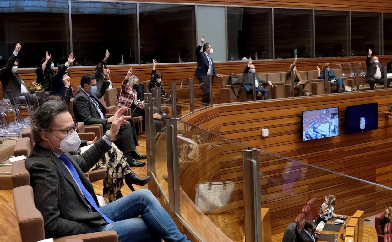 Las Cortes empezarán a tramitar la Ley de Caza de Castilla y León con la polémica del lobo de fondo