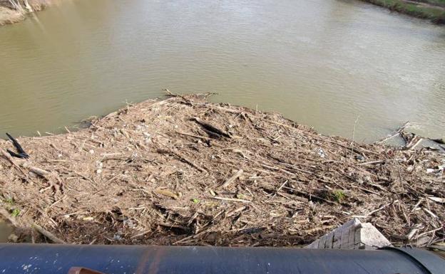 Los troncos acumulados en los pilares del Puente Mayor.