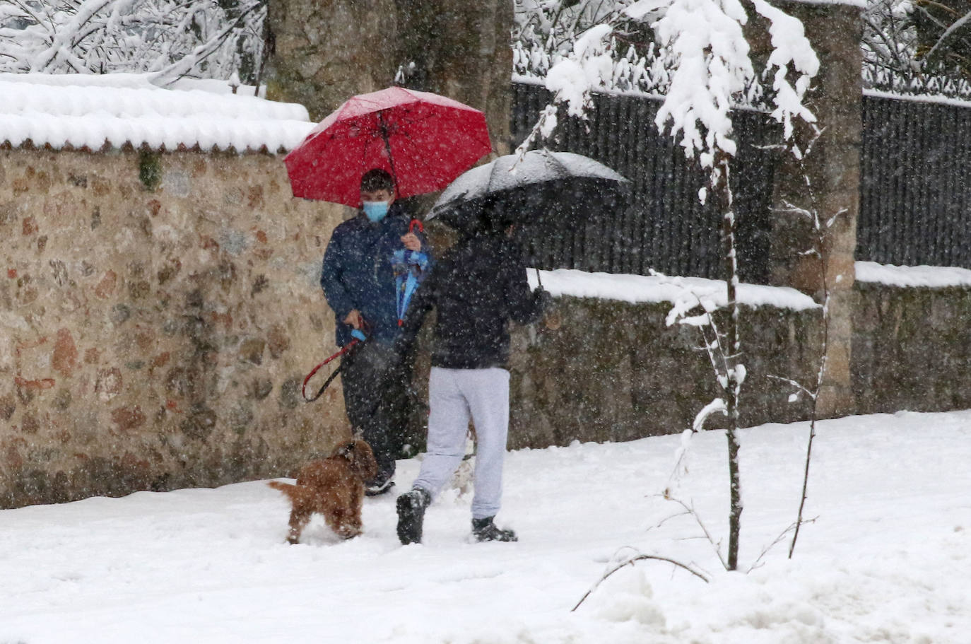 temporal de nieve en la provincia de Segovia 