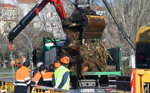 Imagen principal - Labores de retirada de los troncos, colas de vehículos en San Nicolás y de peatones en el puente.