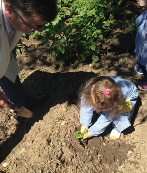 Una alumna del Colegio San Viator en el huerto escolar. 