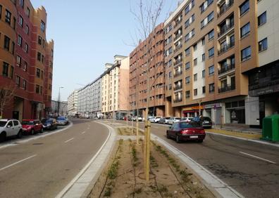 Imagen secundaria 1 - Pavimento táctil colocado en los pasos de peatones. Debajo, árboles plantados en las medianas de Manuel Azaña y Hernando de Acuña (derecha).