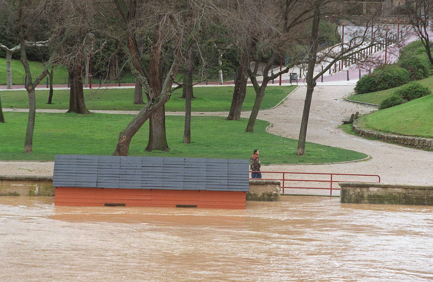 Imagen del río Pisuerga y del Paseo de Las Moreras desde la otra orilla.