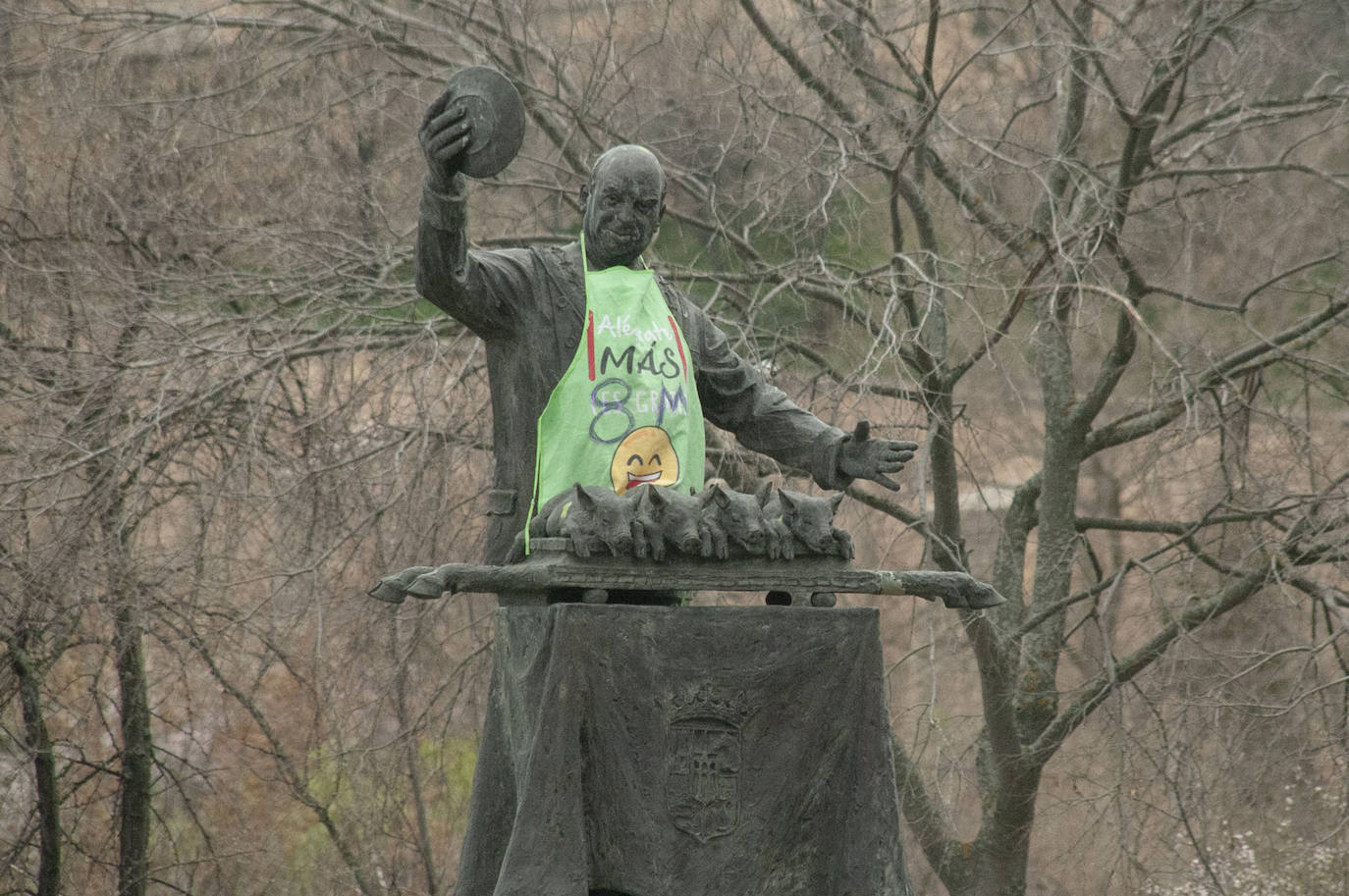 Diversas actividades durante la celebración del 8-M en Segovia. ANTONIO DE TORRE Y ÓSCAR COSTA