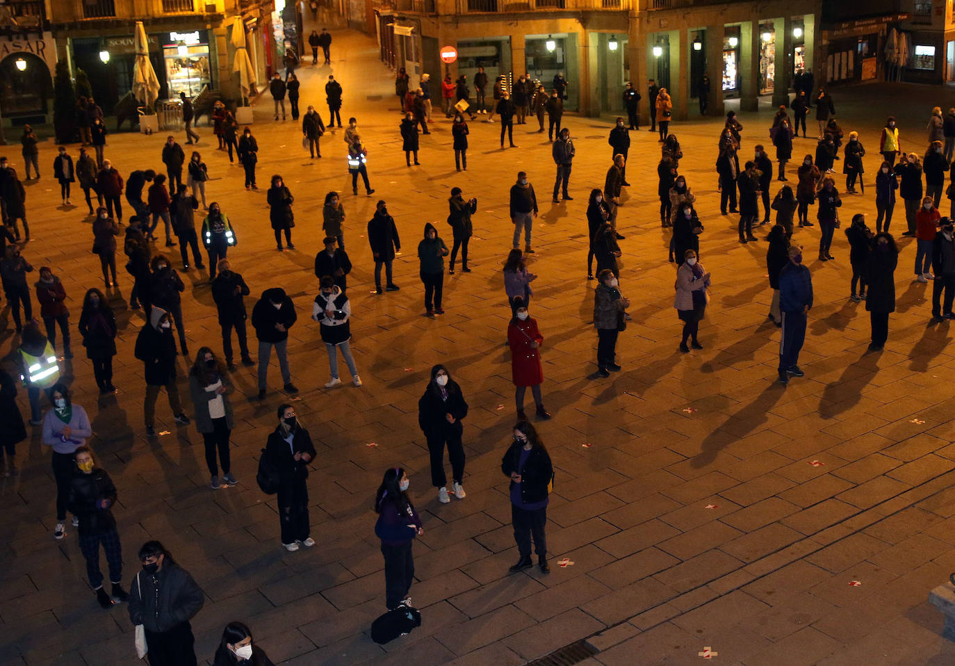 Manifestación del 8 de marzo en Segovia.