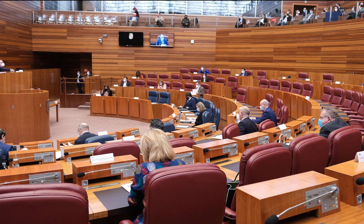 Pleno de las Cortes de Castilla y León. 