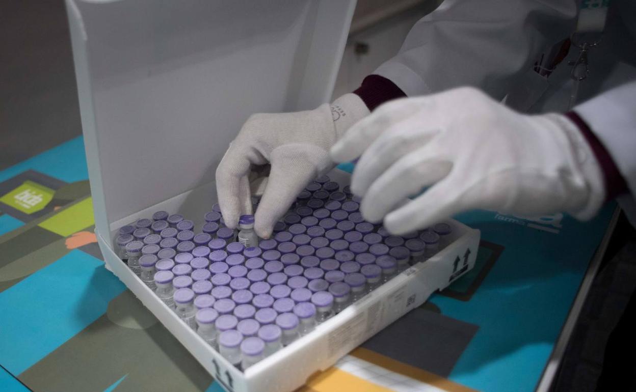 Coronavirus en Castilla y León: Los positivos por covid repuntan hasta los 228 y los fallecidos se mantienen en seis