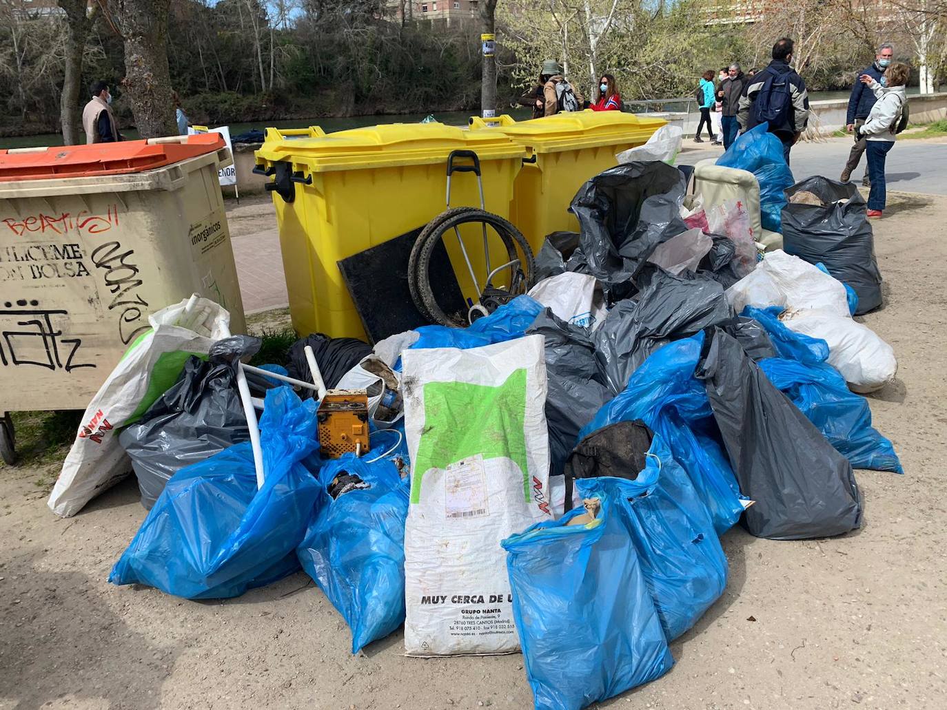 Fotos: Batida de limpieza en al ribera del Pisuerga a su paso por Valladolid