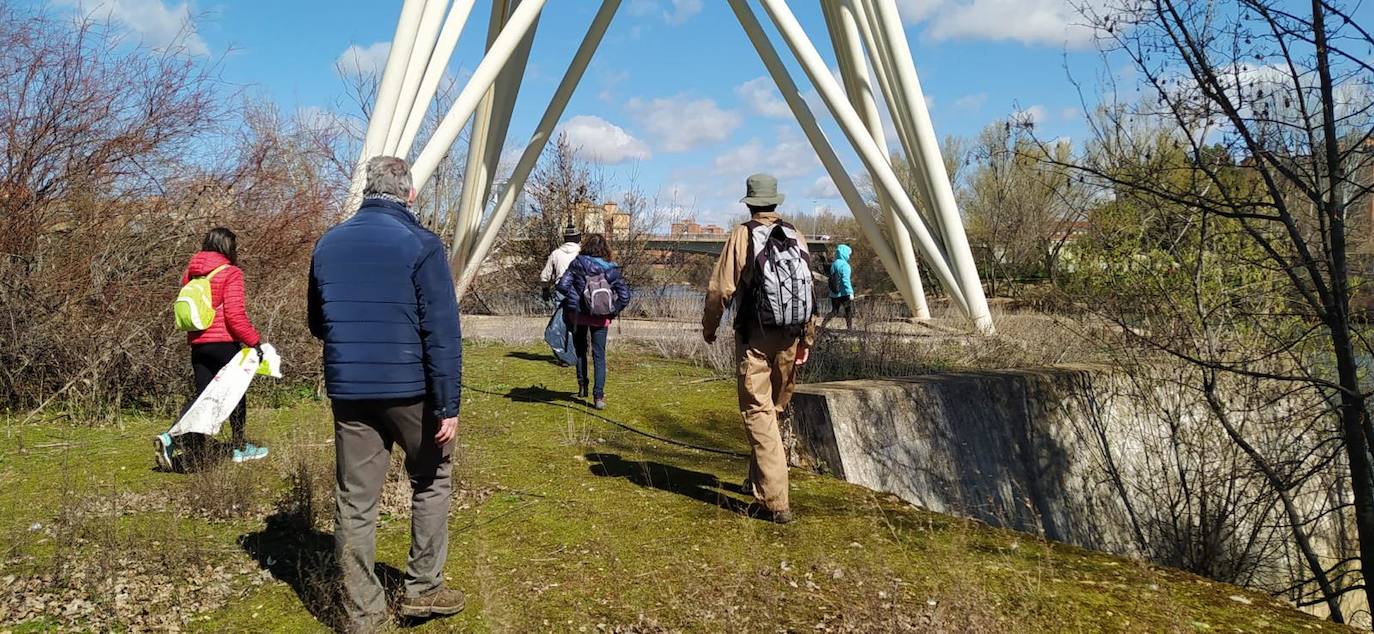 Fotos: Batida de limpieza en al ribera del Pisuerga a su paso por Valladolid