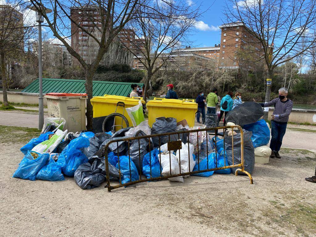 Fotos: Batida de limpieza en al ribera del Pisuerga a su paso por Valladolid