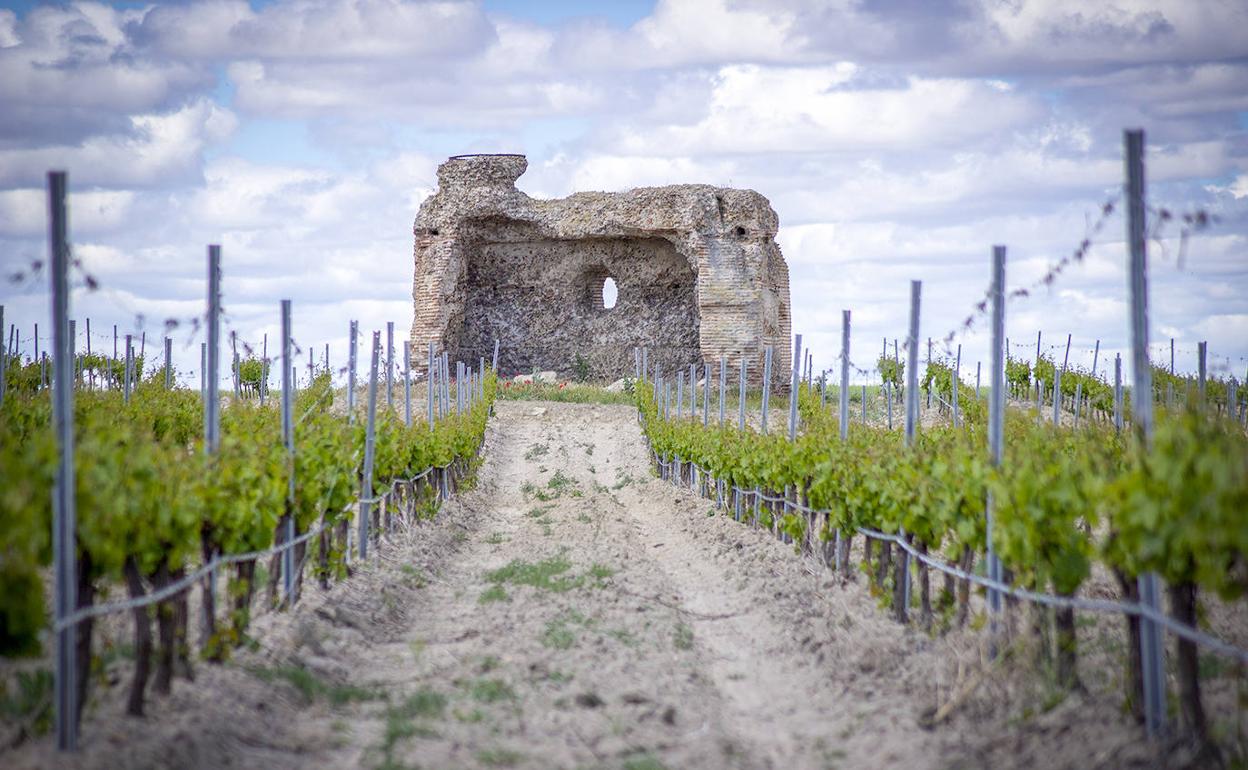 Segundo premio en el concurso fotográfico de la Feria de Entoturismo de CyL de 2019. 